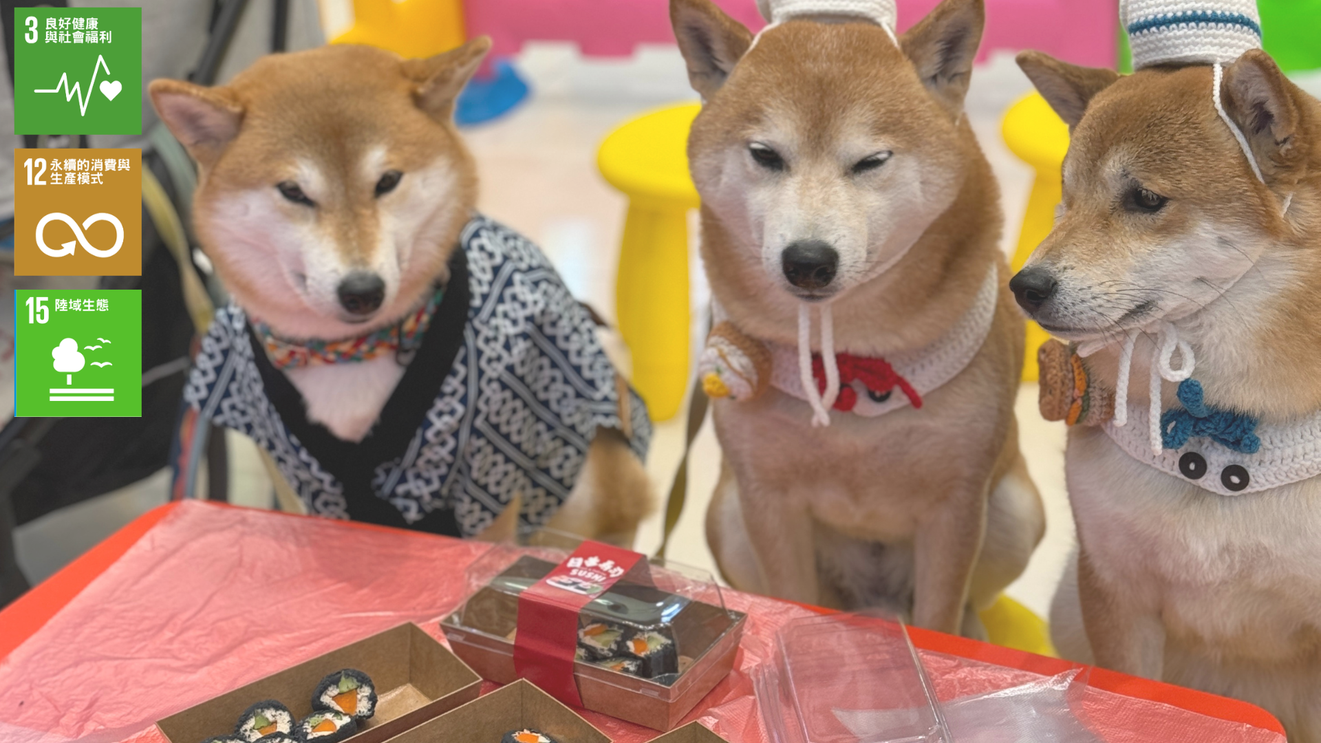 pet bake with sushi