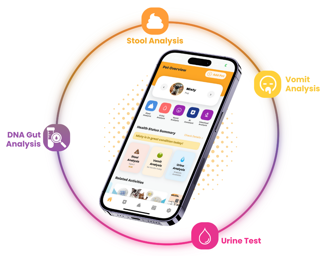 App with shine ring